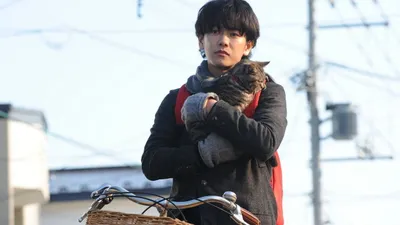 If Cats Disappeared from the World izle