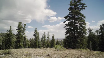 Horror in the High Desert izle