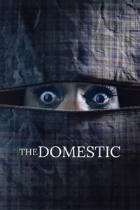 The Domestic izle