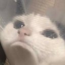 erythro adlı kullanıcı